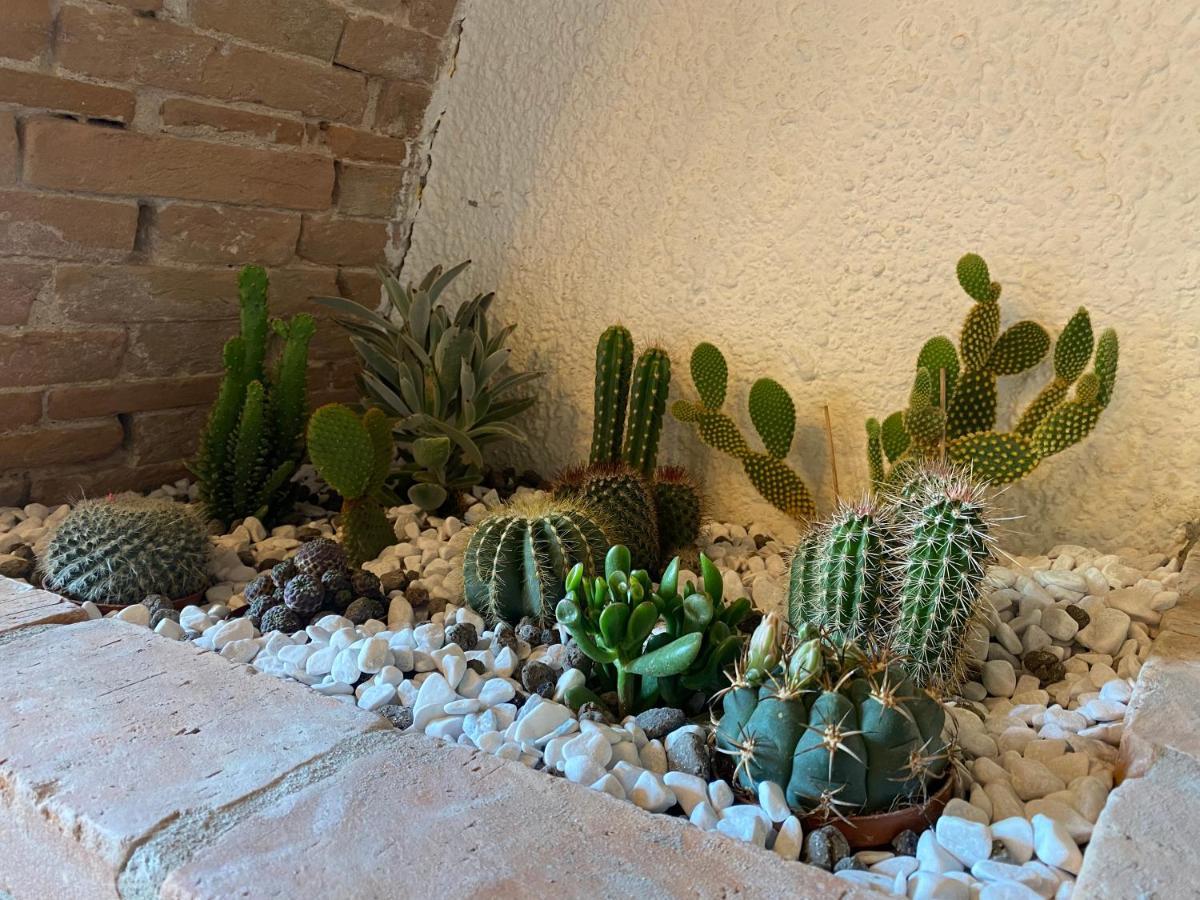 Appartement Cactus *