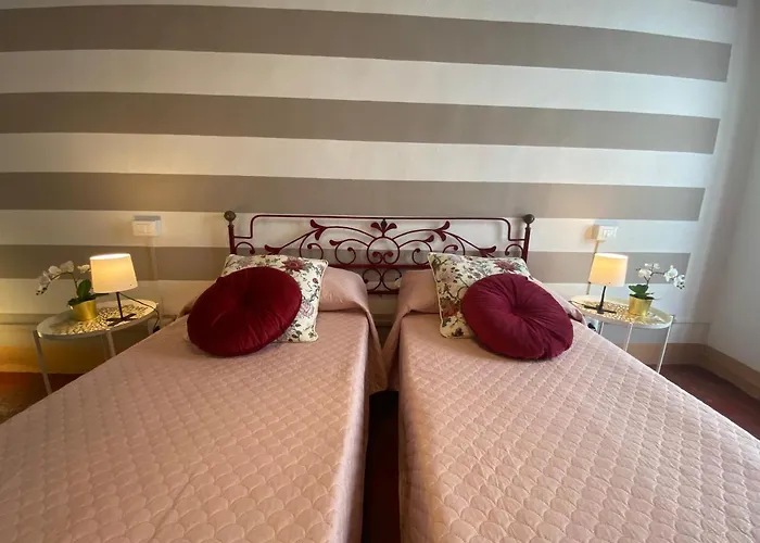 Cactus Suite